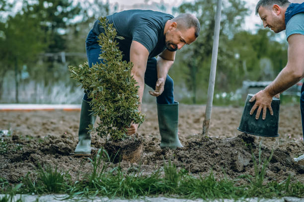 Best Hazardous Tree Removal  in Smyrna, DE